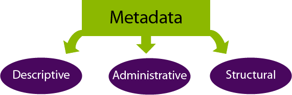 Metadata چگونگی استفاده از BPM در سازمانها شفافیت فرایند ها